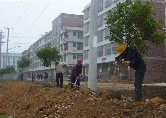 新邵陈家坊镇条条街道披"绿装"